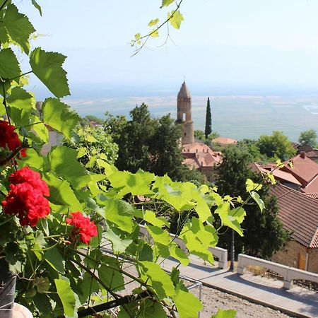 Tsitso & Soso Guesthouse Tsnoristskali Екстериор снимка