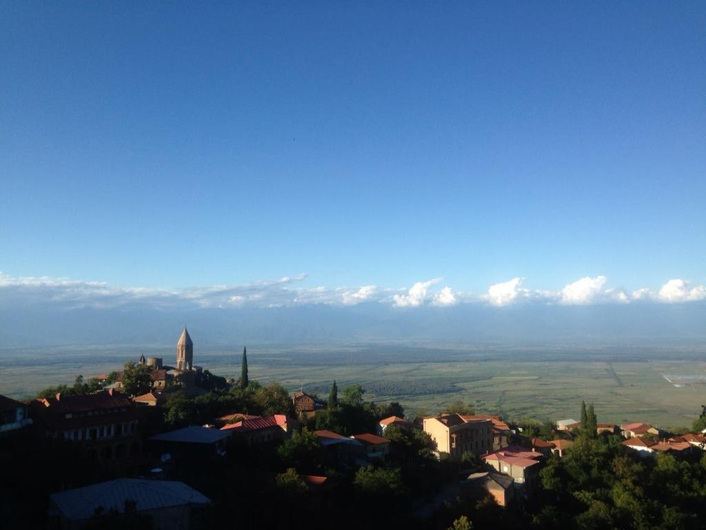 Tsitso & Soso Guesthouse Tsnoristskali Екстериор снимка