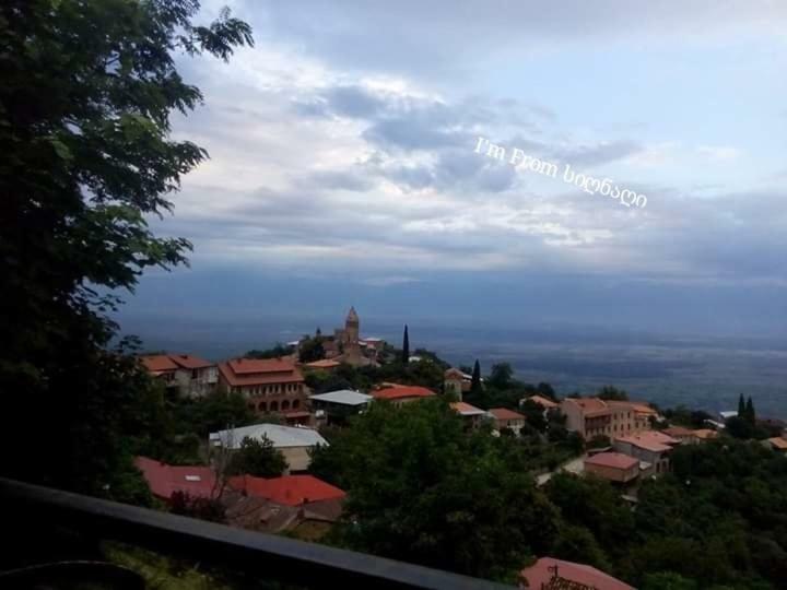 Tsitso & Soso Guesthouse Tsnoristskali Екстериор снимка