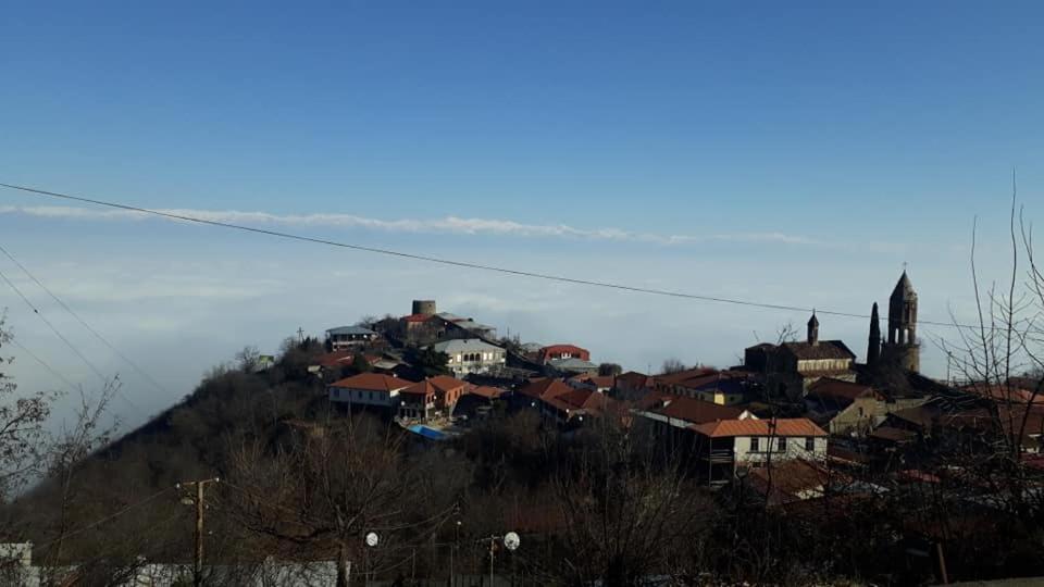 Tsitso & Soso Guesthouse Tsnoristskali Екстериор снимка